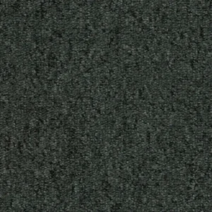 Ex Dono Quartet T293350