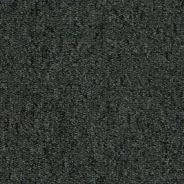 Ex Dono Quartet T293350