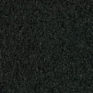 Ex Dono Quartet T293380