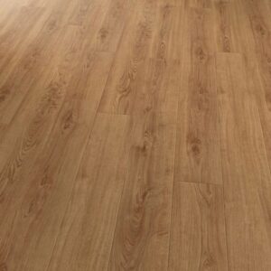 Eiche Klassisch Medium