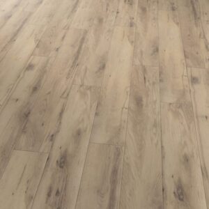 Natürliche Wildeiche