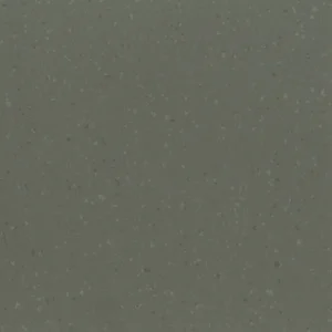 Getrockneter Estragon